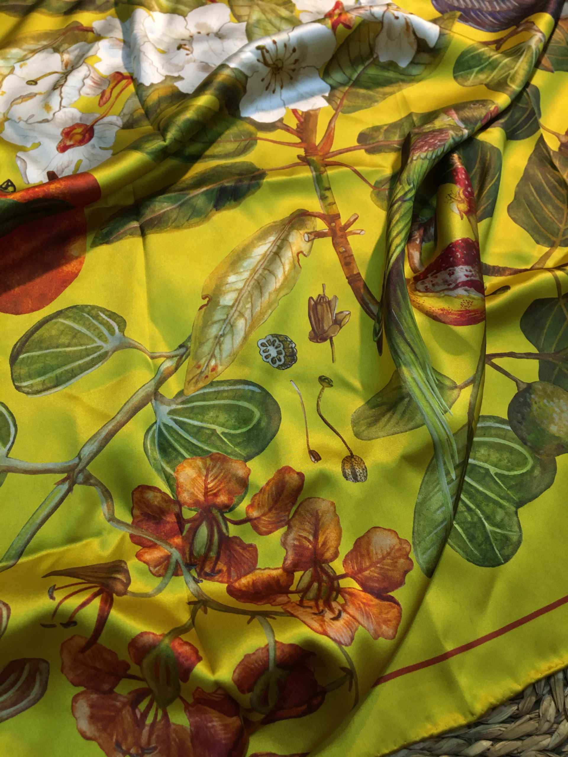 Yellow Parrot Design- 100% Silk Scarf (SOLD OUT) - Image 2